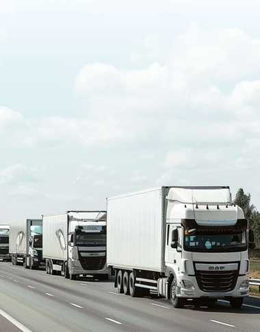 Freight Forwarders